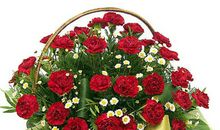 教师节礼物—鲜花