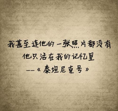 在我荒谬的一年里