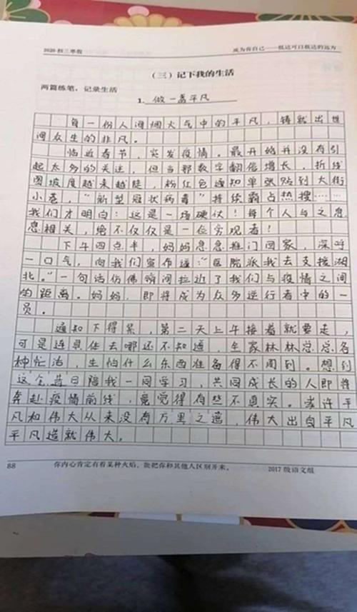 高一对一的成分：辣椒_800字