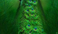 《星星使者》第三章_3000字