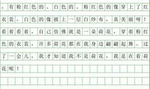 高一状物作文：花生=厦门人?_1200字