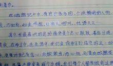 “偷”读记_400字