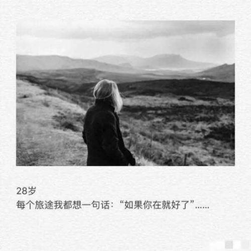 不怕寂寞_300字