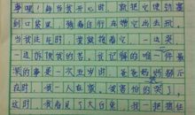 我最喜欢的节日_600字