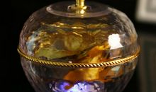 爱人的金苹果_300字