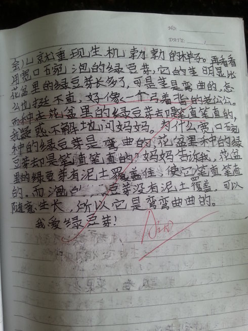 日记几_1000字