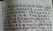 日记几则_1000字