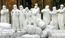 非典是毒物_900字