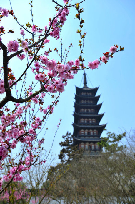 松江 - 源之旅_1000字