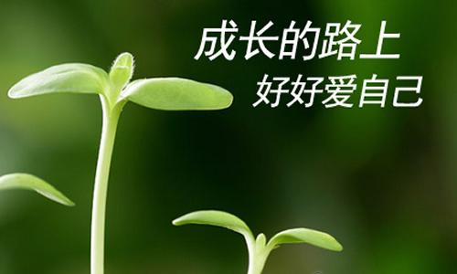 在通往我的路上_800字