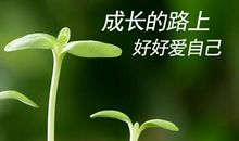 在我成长的道路上_800字
