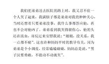 难忘的事故_300字