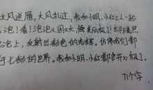 我喜爱的颜色_100字