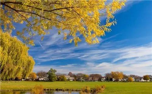 我不能留下来，它是最孤独的，我有一个痛苦，我只需要留下歌曲，我会出去一秒钟，我必须把它带走，拥抱孤独......