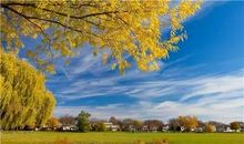 快乐着，并伤心着的夏_600字