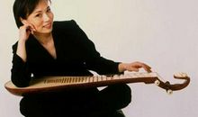 未来的琵琶演奏家_350字