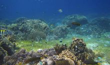 普吉岛之旅_2000字