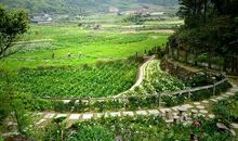 阡陌迂回（第一章）_900字