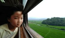 美丽的原野_350字