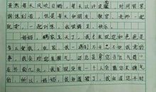 爸爸，我想对你说……_750字