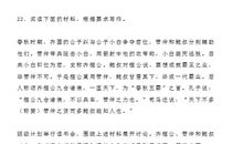 2020年湖北高考语文真题(20)