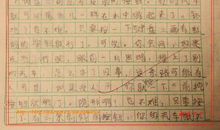 未来的地球_800字