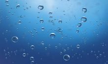 讨厌的水泡_600字