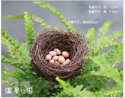 看，鸟儿妈妈回来了，鸟儿赶紧跟着鸟儿，鸟儿和爸爸跟着后者保护鸟类，看，多么开心。