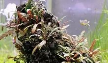 尊敬是一种养分_900字