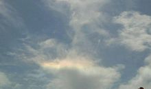 关于阳光的作文：阳光普照（二）_600字