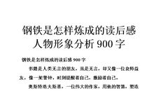 网购的启示_900字