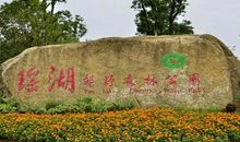 森林公园一日游_450字