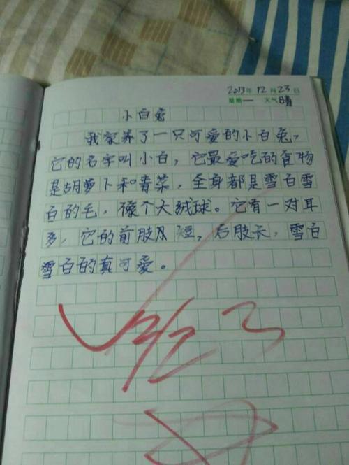 我说我是我的女孩。是的，我不想做任何事情，我不想做事，即使人们打电话给我，即使我这样做，我也会送他一个“大”惊喜。写作，它永远隐藏在我的心里，写作，让我去创造，因为我正写，我是主角，我是一名导演！