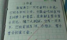 我和写作_1200字