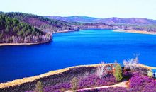 大街上的“美”_500字