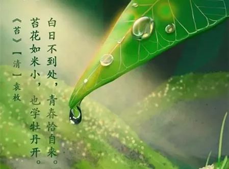 让我们保护每一个小生活_450字
