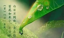 让我们保护每一个小生命_450字