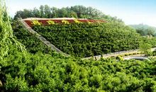 我美丽的家乡_700字