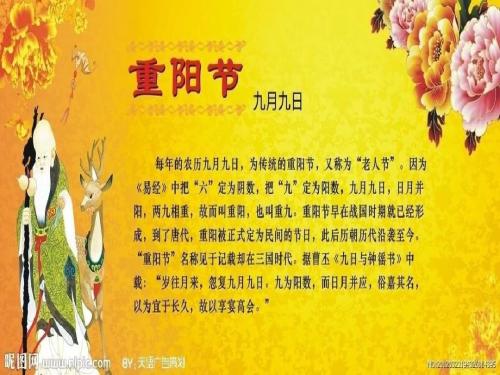 第九节的组成：双第九节_1000字