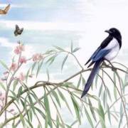 为三而舞（楔子）_2000字