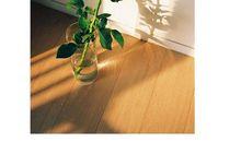 关于阳光的作文：胜利的阳光_1200字