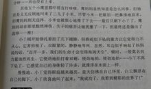 初二议论文：谈合作_800字