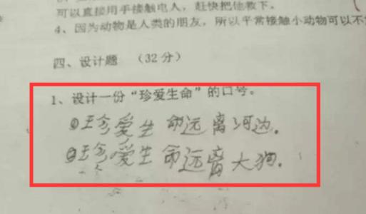 初级第二次讨论：我没想到它是_800字