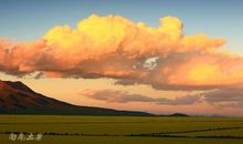 忽然飘来的记忆