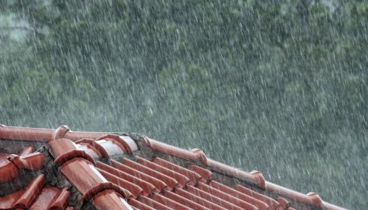 听雨