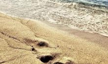 人生的酸甜苦辣_900字