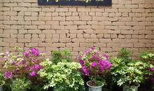 一次难忘的乡村生活_450字