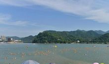 宁波的海 浦江的山_800字