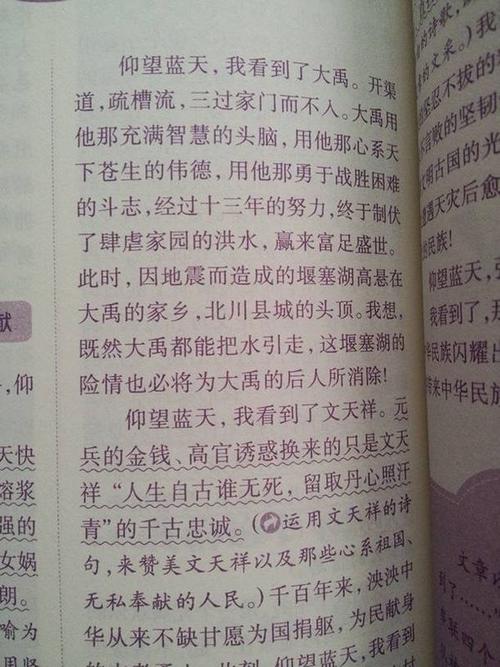 太阳的构图：生活的生活_1000字