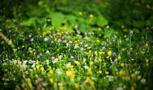 等待下一个春天_750字